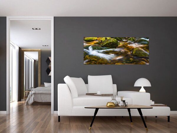 Slika potoka (120x50 cm)