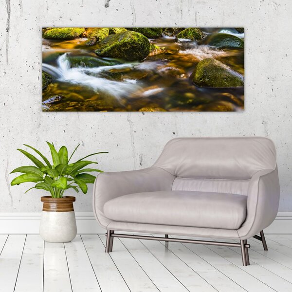 Slika potoka (120x50 cm)