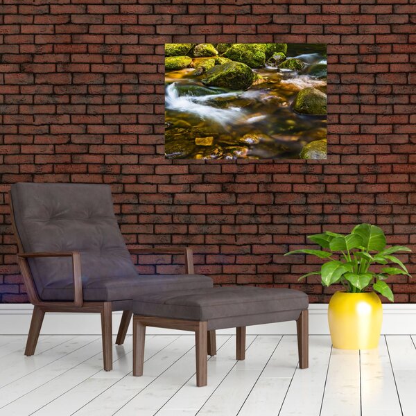 Slika potoka (70x50 cm)