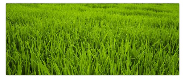 Slika trave (120x50 cm)