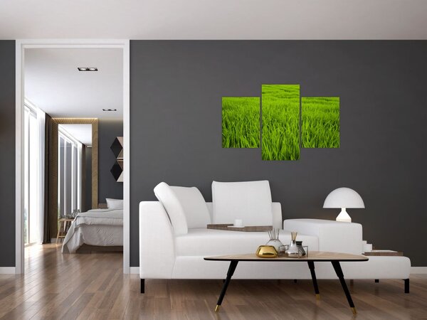 Slika trave (90x60 cm)