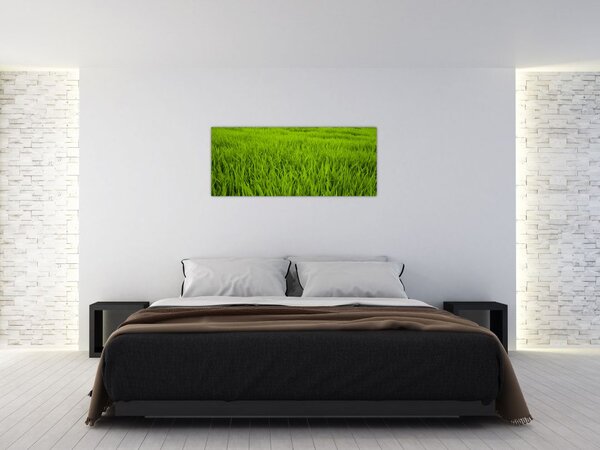 Slika trave (120x50 cm)