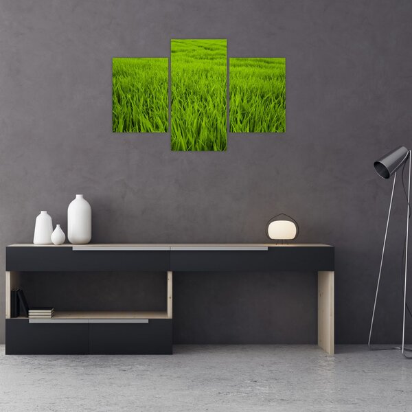 Slika trave (90x60 cm)