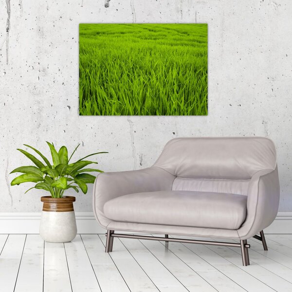 Slika trave (70x50 cm)