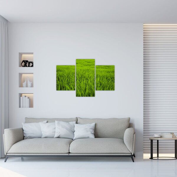 Slika trave (90x60 cm)