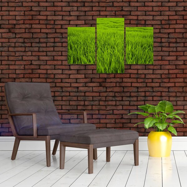 Slika trave (90x60 cm)