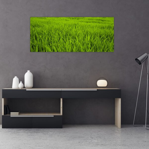 Slika trave (120x50 cm)