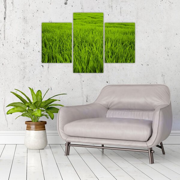 Slika trave (90x60 cm)