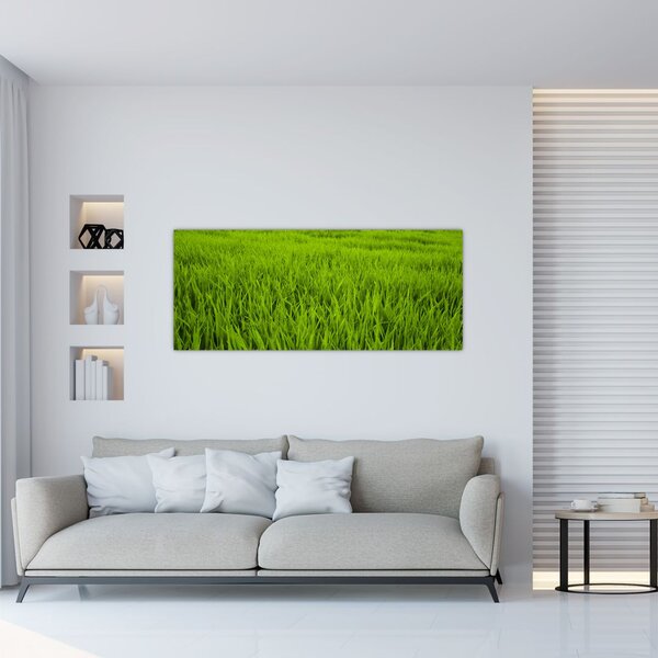 Slika trave (120x50 cm)