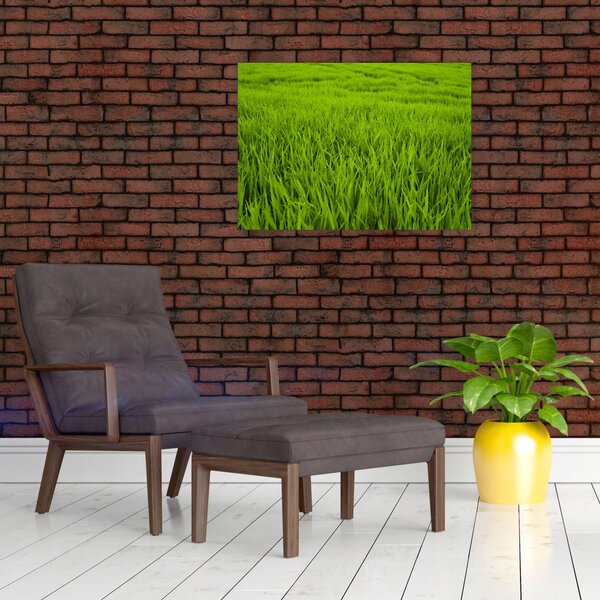 Slika trave (70x50 cm)