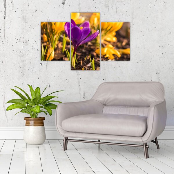 Slika ljubičastog cvijeta (90x60 cm)
