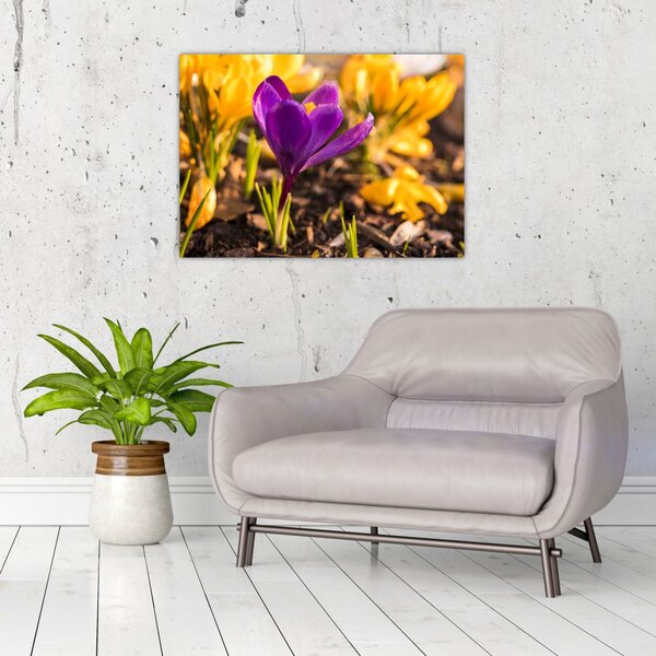 Slika ljubičastog cvijeta (70x50 cm)