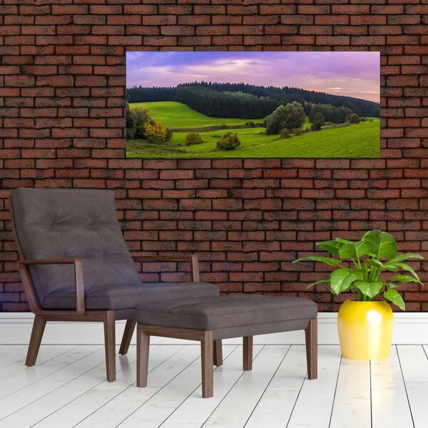 Slika livade (120x50 cm)