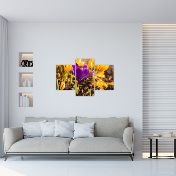 Slika ljubičastog cvijeta (90x60 cm)