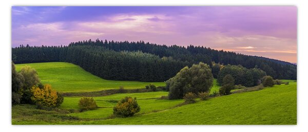 Slika livade (120x50 cm)