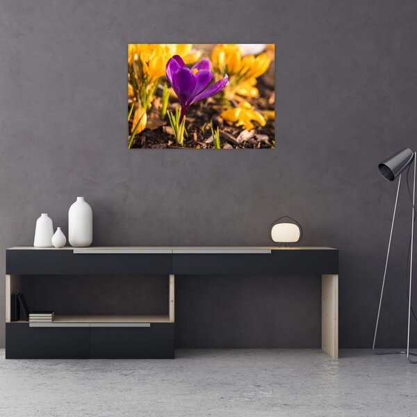 Slika ljubičastog cvijeta (70x50 cm)