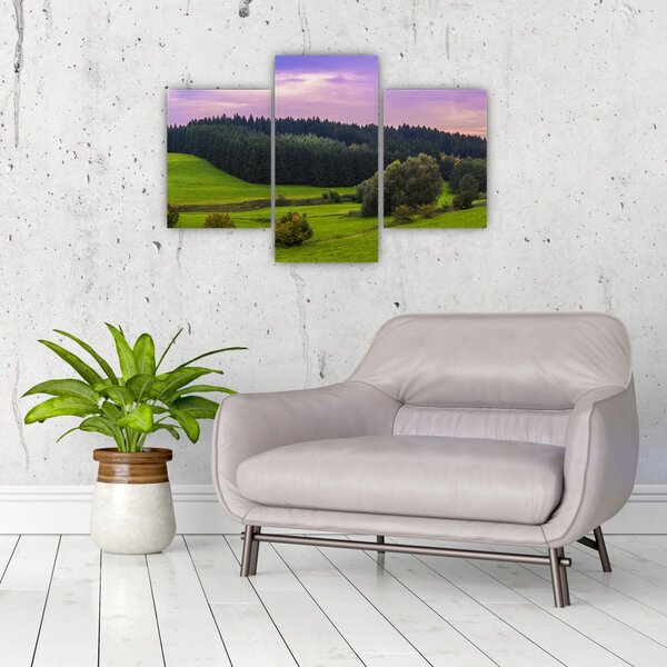 Slika livade (90x60 cm)
