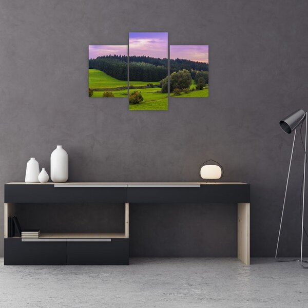 Slika livade (90x60 cm)