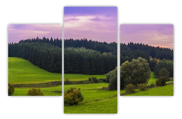 Slika livade (90x60 cm)