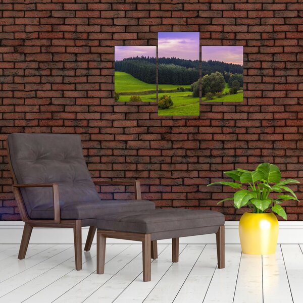 Slika livade (90x60 cm)
