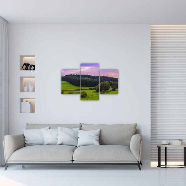 Slika livade (90x60 cm)