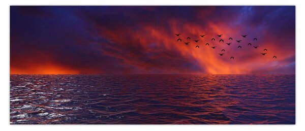 Slika mora s pticama (120x50 cm)