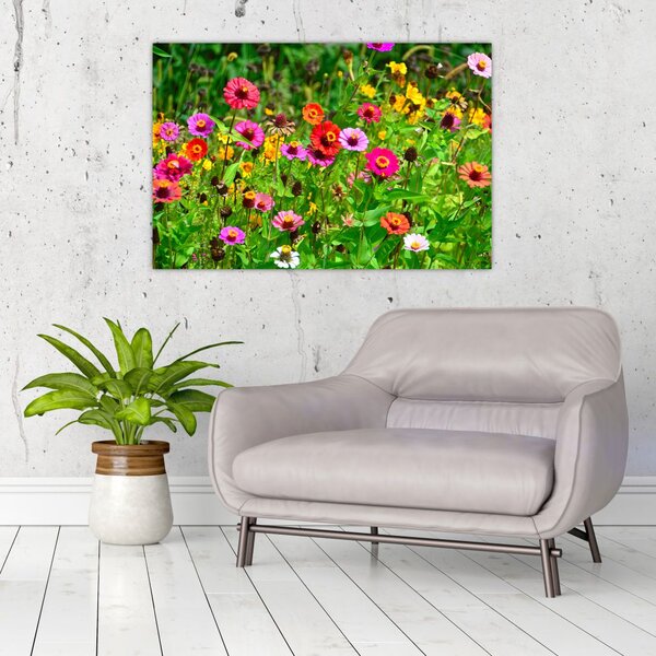 Slika livadskog cvijeća (90x60 cm)