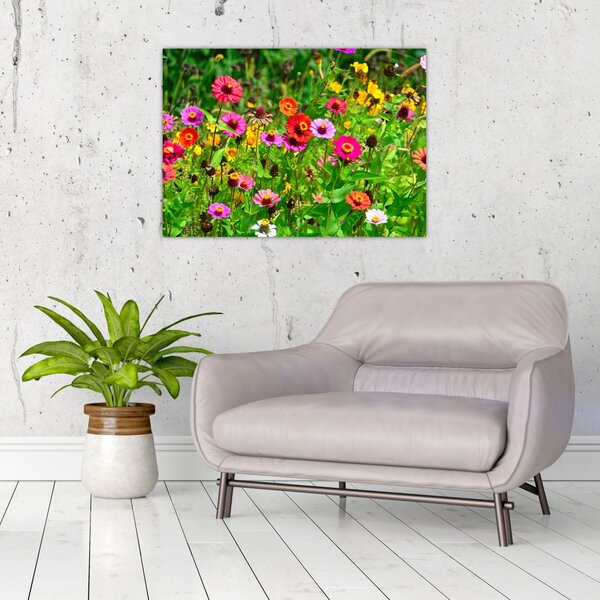 Slika livadskog cvijeća (70x50 cm)