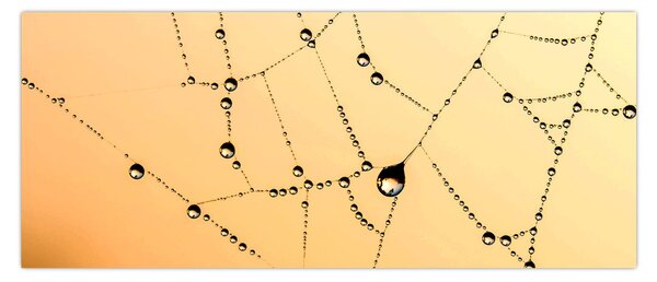 Slika rosne paučine (120x50 cm)