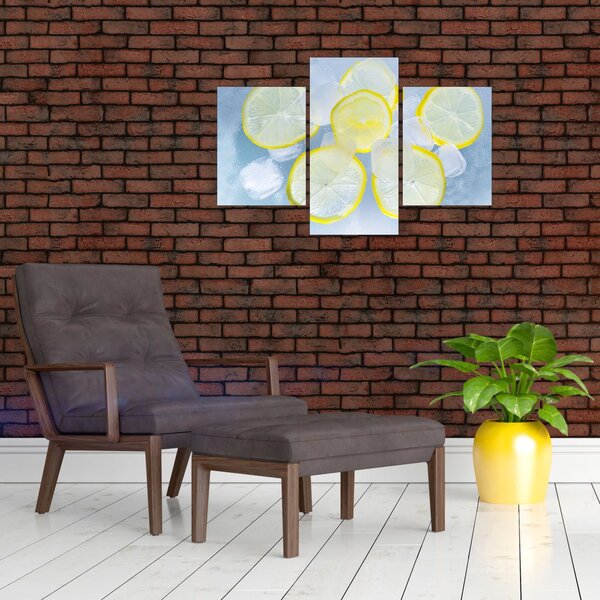 Slika limuna u ledu (90x60 cm)