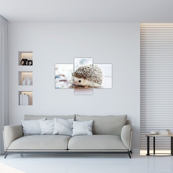Slika ježa (90x60 cm)