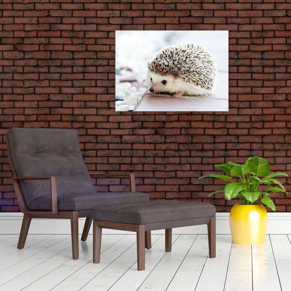 Slika ježa (70x50 cm)