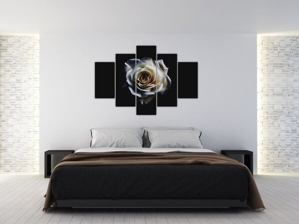 Slika bijele ruže (150x105 cm)