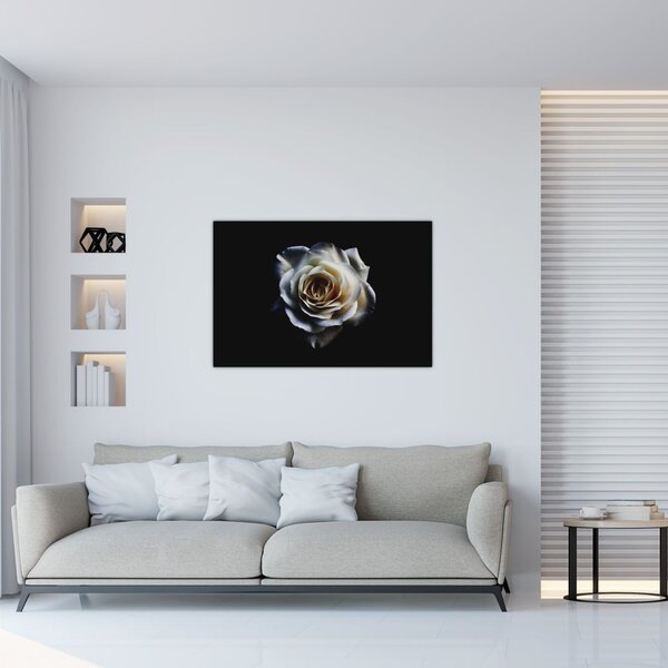 Slika bijele ruže (90x60 cm)