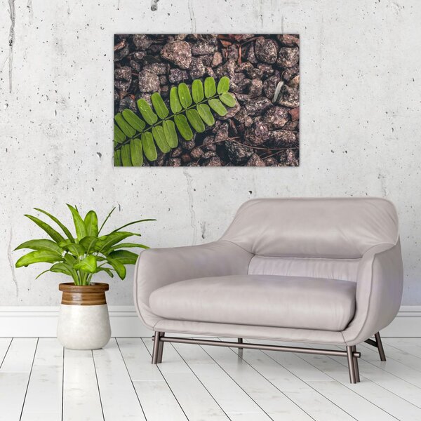 Slika zelene biljke (70x50 cm)