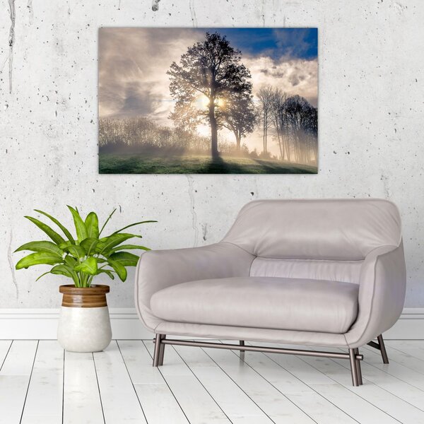 Slika drveta u magli (90x60 cm)