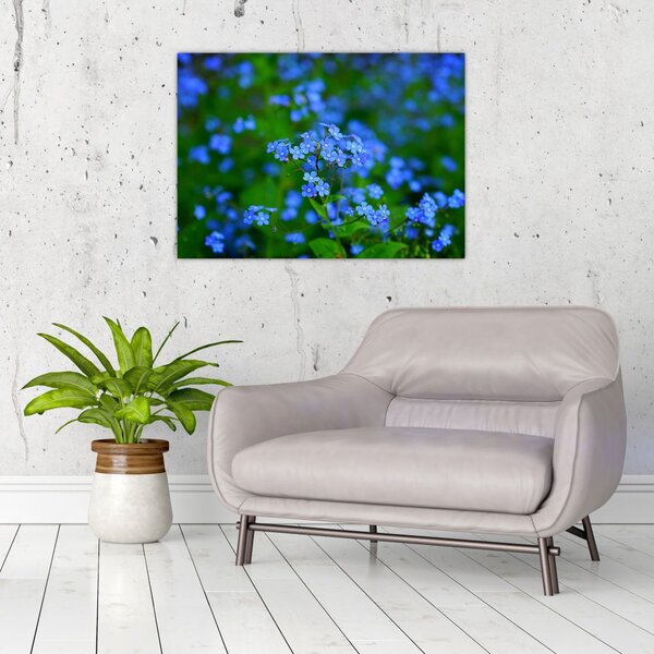 Slika plavog cvijeća (70x50 cm)