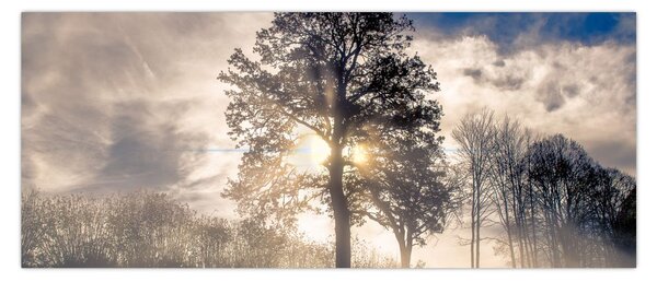 Slika drveta u magli (120x50 cm)