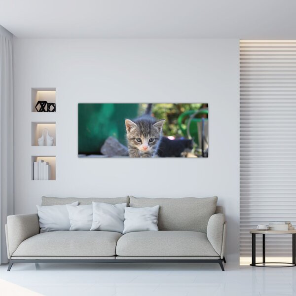 Slika mačića (120x50 cm)
