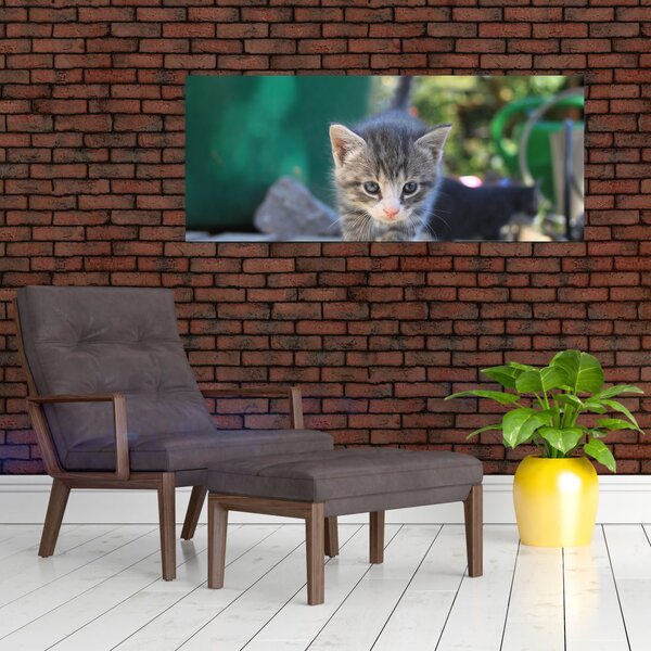 Slika mačića (120x50 cm)