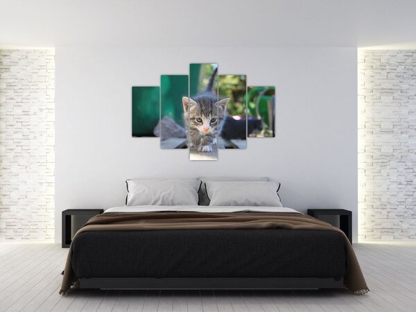 Slika mačića (150x105 cm)