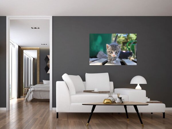 Slika mačića (90x60 cm)