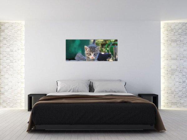 Slika mačića (120x50 cm)