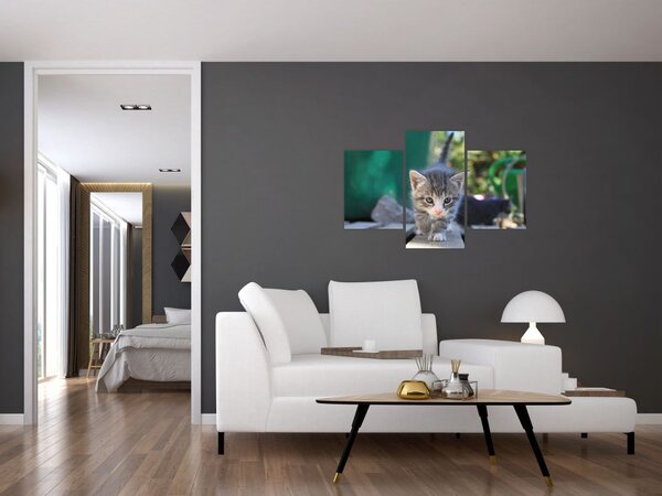 Slika mačića (90x60 cm)