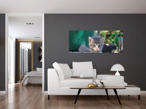 Slika mačića (120x50 cm)