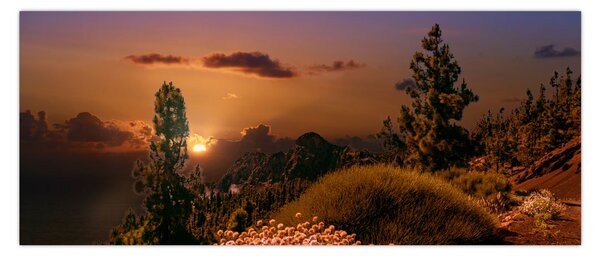 Slika prirode sa zalaskom sunca (120x50 cm)