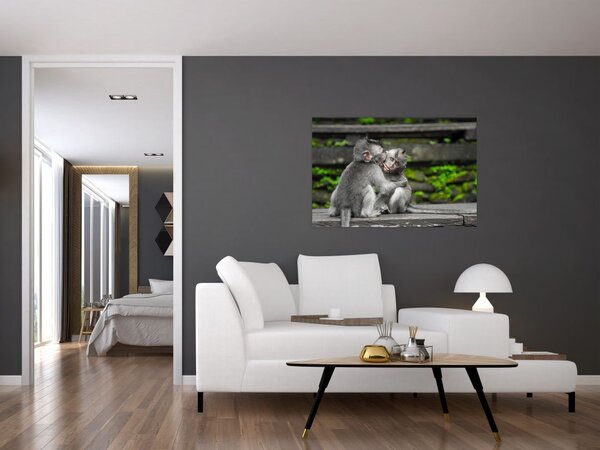 Slika - majmuni (90x60 cm)