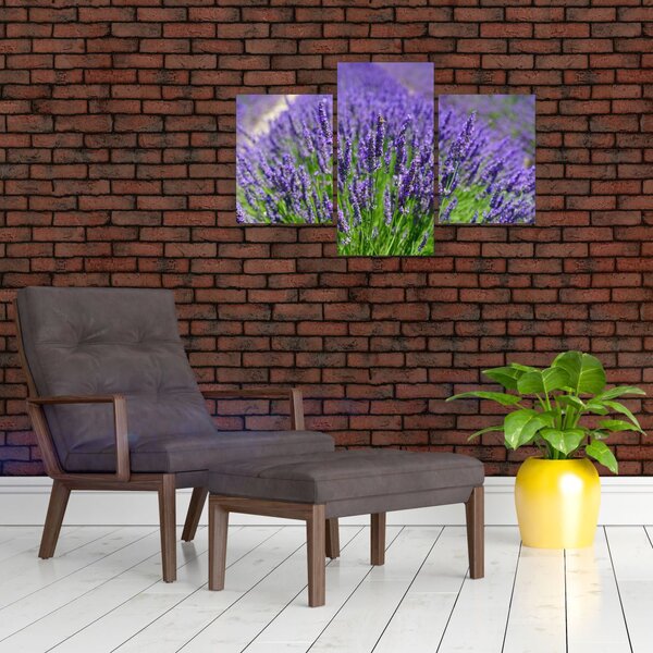 Slika - lavanda (90x60 cm)
