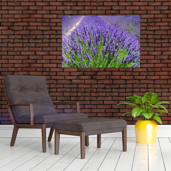 Slika - lavanda (90x60 cm)
