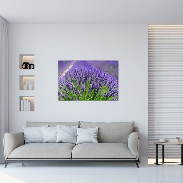 Slika - lavanda (90x60 cm)